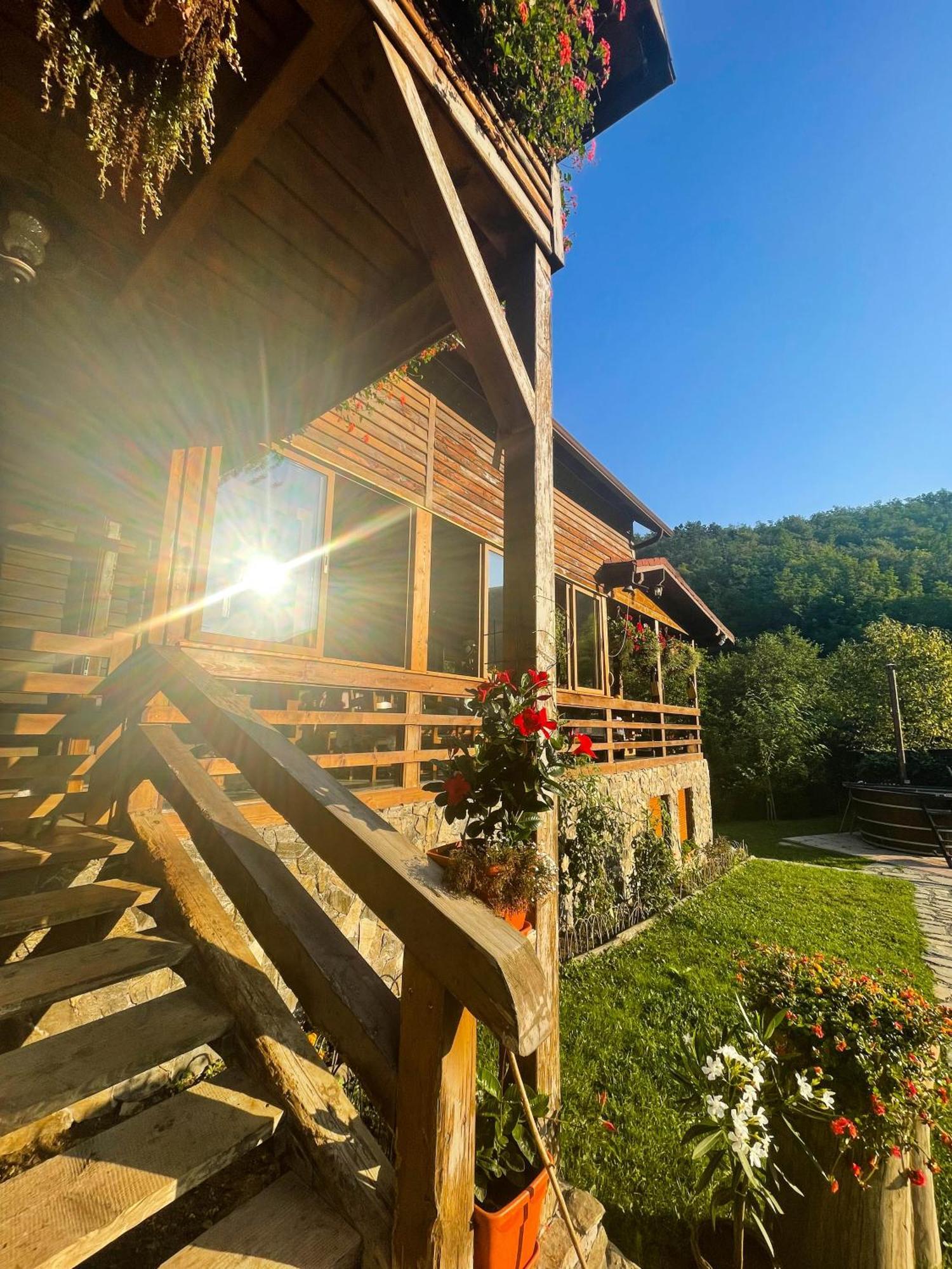 Cabana La Domnu' De Pe Vale Villa ไอยุด ภายนอก รูปภาพ