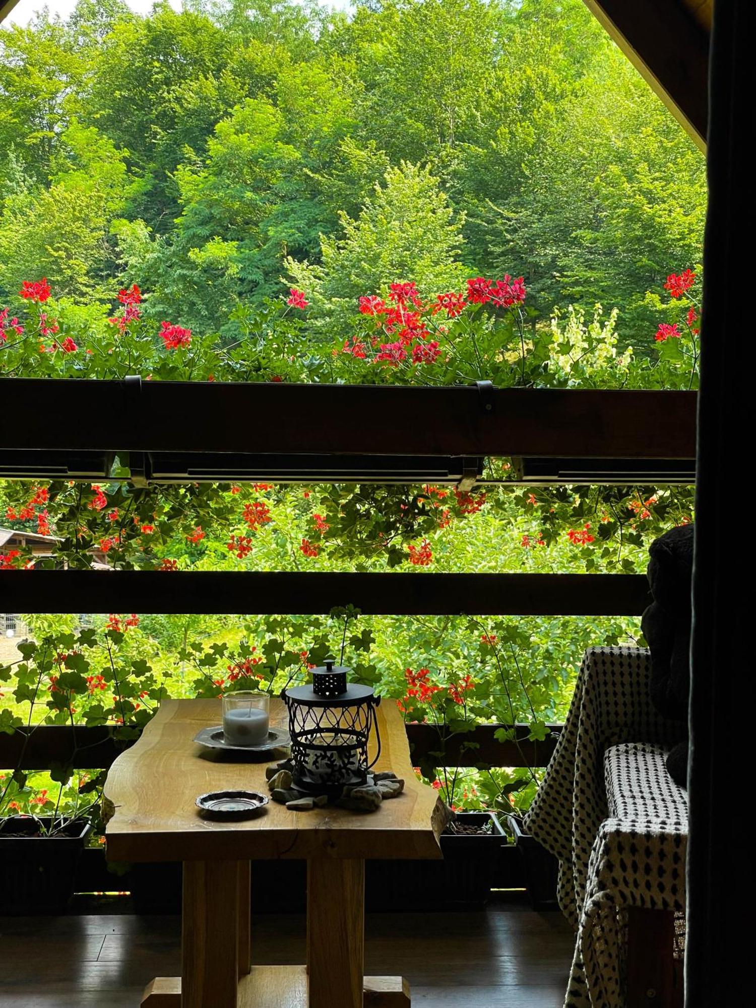 Cabana La Domnu' De Pe Vale Villa ไอยุด ภายนอก รูปภาพ