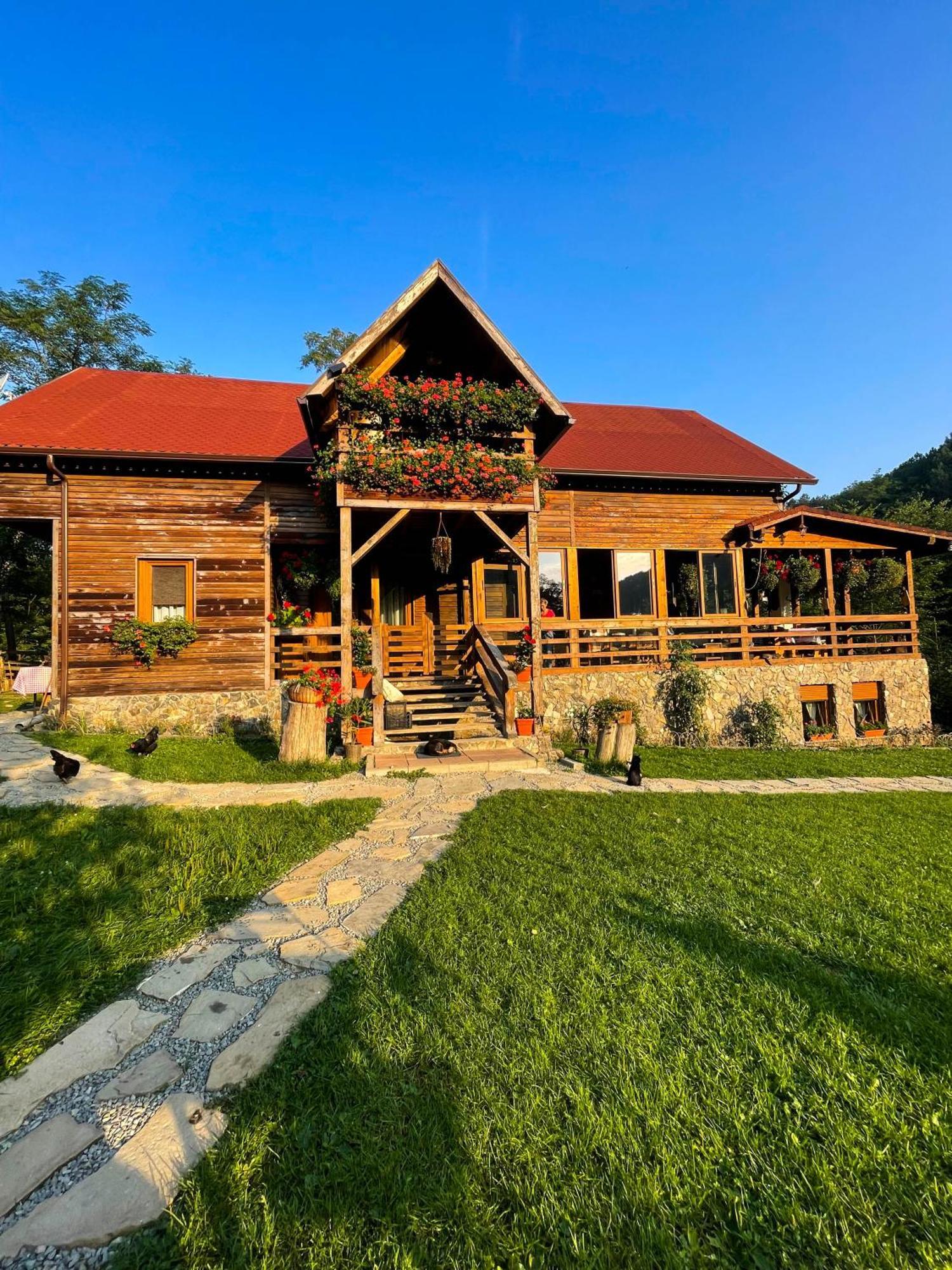 Cabana La Domnu' De Pe Vale Villa ไอยุด ภายนอก รูปภาพ